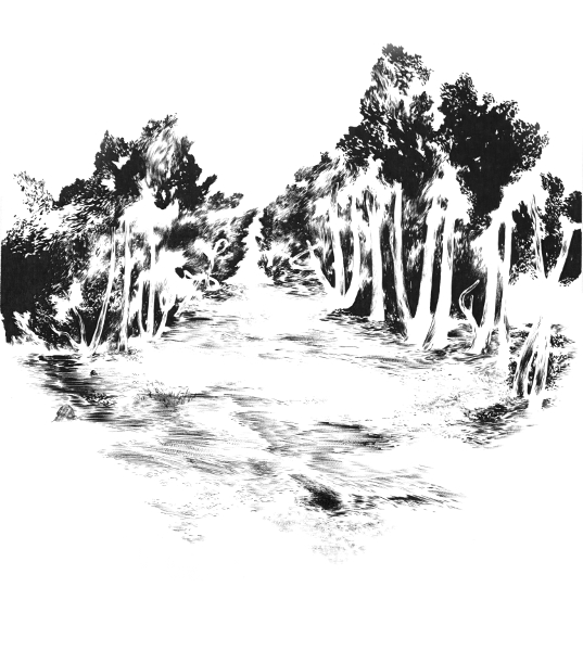 Abdelkader Benchamma - L’Horizon des évènements : Trees(Book Of Miracle)-Ink On Paper-100x70 cm-2017, Abdelkader Benchamma © courtesy galerie du jour agnès b